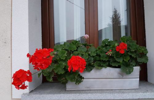 Chez Pépé Louis - Foto 14