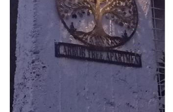 Carob Tree apartment, Tris Ekklisies - Foto 18