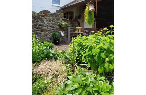 Ferienwohnung Sauerland Burgfenster - Foto 21