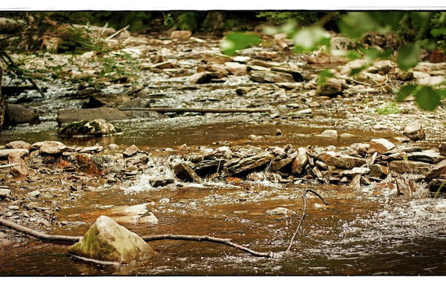 Studio in Former Coach House - Foto 19