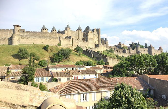 Cité de Carcassonne und private Weinprobe von Toulouse - Foto 11