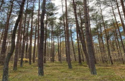 Baltic Sea Views & Cozy Comfort - Foto 26