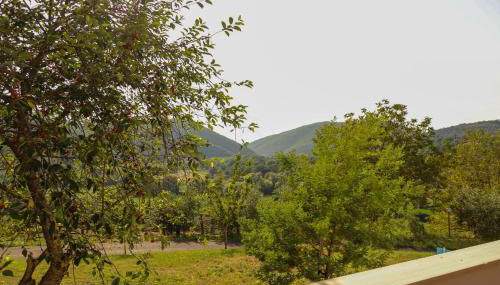 Azienda Agricola Sebastiani - Foto 5