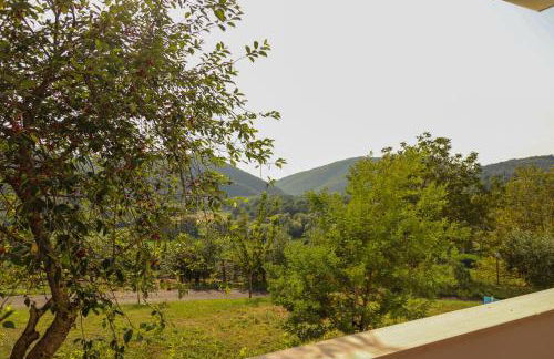 Azienda Agricola Sebastiani - Foto 5