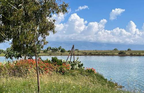 Casa caretta caretta - Foto 20