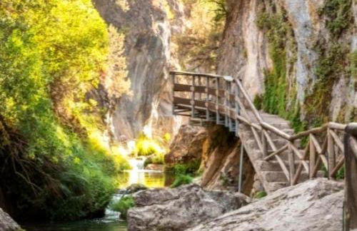 El Fresno Cazorla - Foto 13