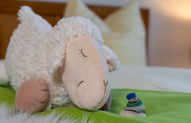 Ein Bett im Norden Nr. 7 - Foto 5