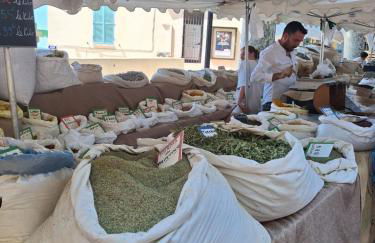 TINY HOUSE avec piscine "La Bernadette" villa Sisyphe - Foto 34