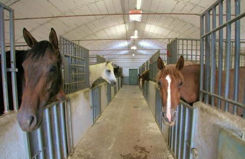 Farmhouse With Stables, Horses and the Ability to Make Horseback Riding - Photo 70