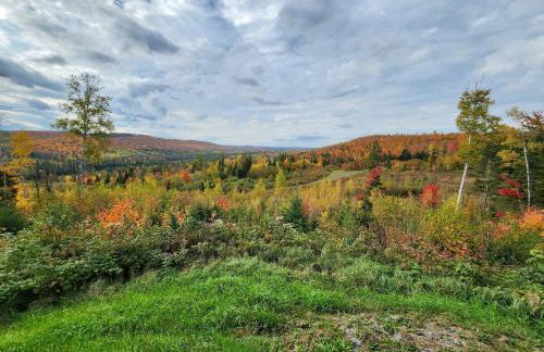 Off-Grid Cabin Nestled Among Nature with Lovely Landscape Views in Maine - Foto 9