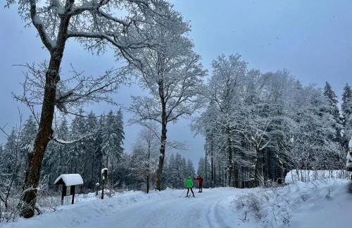 Apartment Carola by Interhome - Foto 25