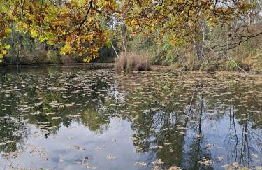 Ferienwohnung Moosegger - Foto 31