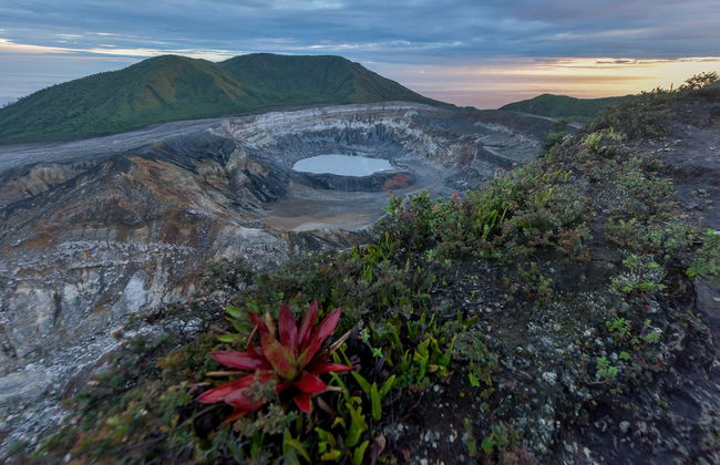 Villa Calas - Photo 54