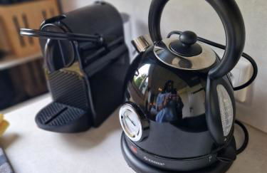 Fischer Villa von 1875 - Kuscheliges Appartment im Grünen - Foto 25