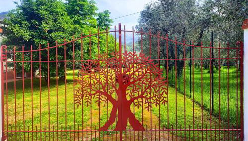 Versillia Olive Residence - Foto 2