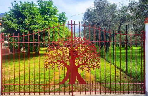 Versillia Olive Residence - Foto 2