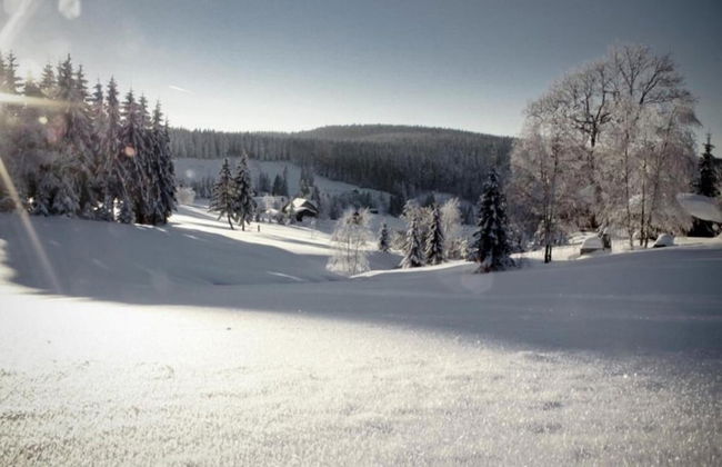 Ferienhaus mit Schwimmbad in Jagersgrun - Foto 31