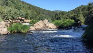 Casa do Rio - Foto 2