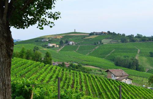 I Grappoli - Foto 10