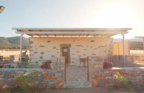 Mitatos "Matthew" - Foto 2