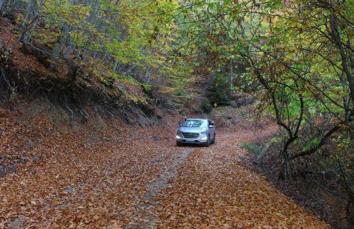 Kivotos Epavlis - Foto 26