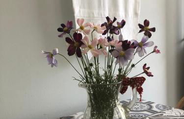 Anastasia's House - Foto 28