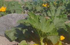 Sunlight Cave Agrilia - Foto 23