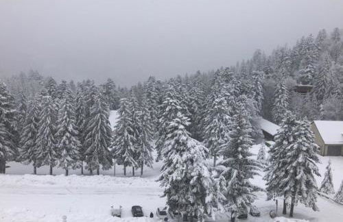 studio tout confort au pied des pistes du lioran - Foto 8