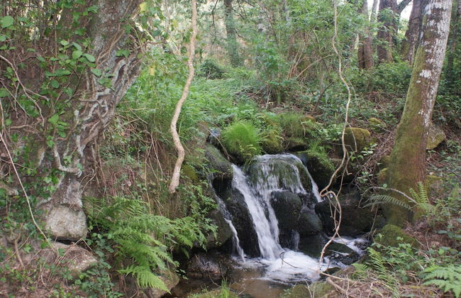 Spacious Holiday Home on Estate Near Covas - Foto 17