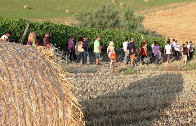 Belvilla by OYO Campo Quattro - Foto 23