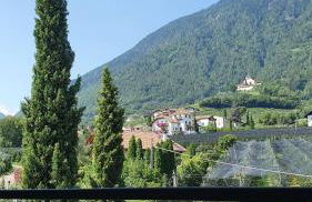 Haus Sonnegg - Foto 32