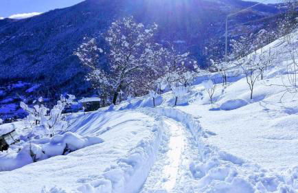 Il noce e la strega - Foto 22