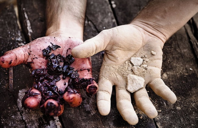 QUINTA DA FAISCA - Agro Turismo - Foto 1