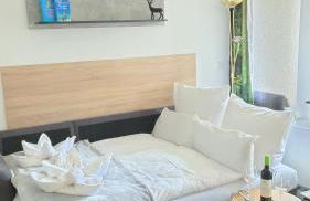 Deluxe Ferienwohnung Winterberg mit private Sauna - Foto 25