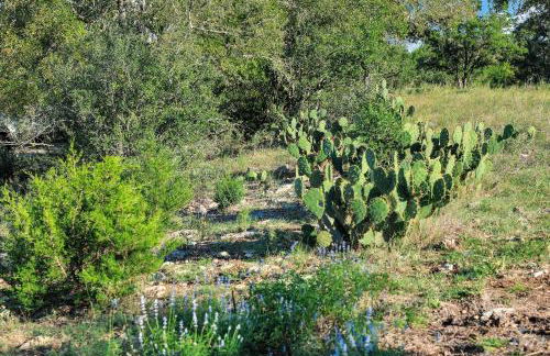 Box 3- A Birdy Vacation Rental - Foto 46