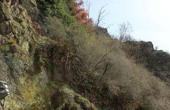 Logierhaus Stadt Lyon - Foto 61