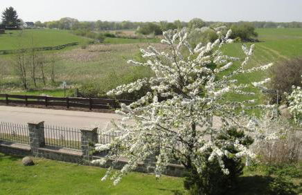 Landpension Zum Schweizerberg - Foto 15