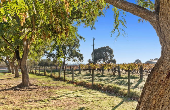 Discovery Parks - Swan Valley - Foto 1