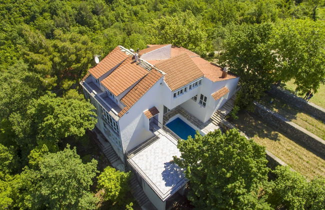 Villa Green Castle - Foto 44