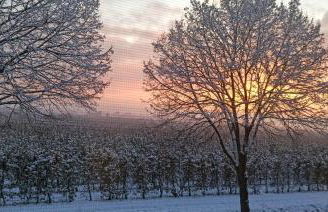 Fewo Apfel Striep - Photo 1