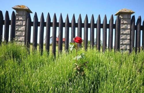 Veluwe Retreat w Garden - Foto 39