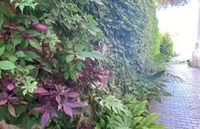 La Paratá Suites Mojácar - Foto 28