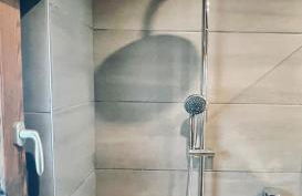 les colibris - Foto 23