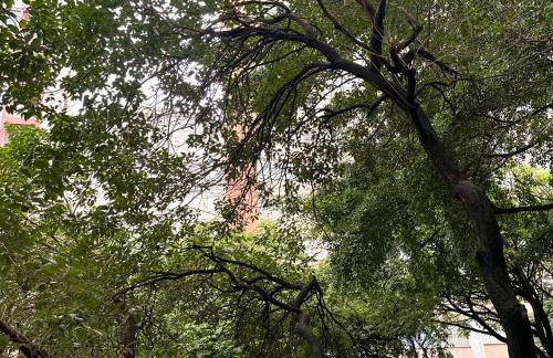 Apê Nova York I Raul Soares Centro Mercado Central - Foto 27