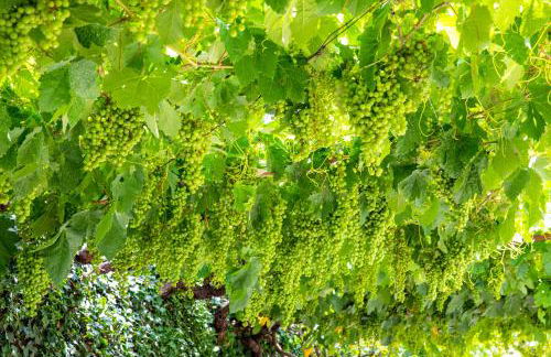 Casa de São Bernardo by LovelyStay - Foto 26