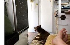 Beautiful Farmstay Hill Cottage and Tiny Equipped Camper in Maryland - Foto 5