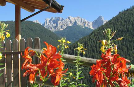 Kellnerhof - Foto 57