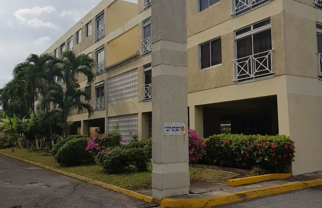 New Kingston Apt at Kensington Court - Foto 45