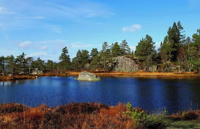 Ski Lodge & Apartments Gautefall - Foto 56