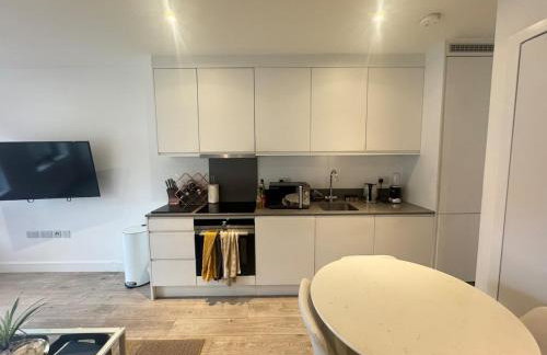 JVL Nice Cosy 1BR Flat Purley, London - Foto 59